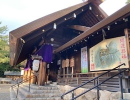 今年こそお琴を始めませんか💜