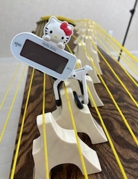自分をコントロールする
